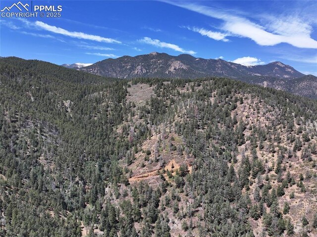 1526 Gardiner Rock Ln, Colorado Springs, CO 80906