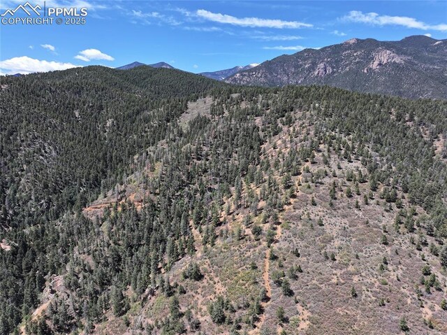 1526 Gardiner Rock Ln, Colorado Springs, CO 80906