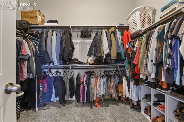 10192 Kentwood Dr, Colorado Springs, CO 80924 - walk in closet with carpet