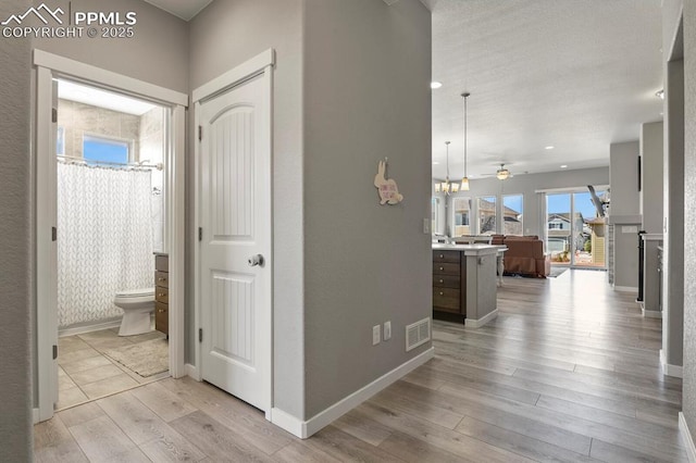 10192 Kentwood Dr, Colorado Springs, CO 80924 - hallway featuring light wood-style floors and baseboards