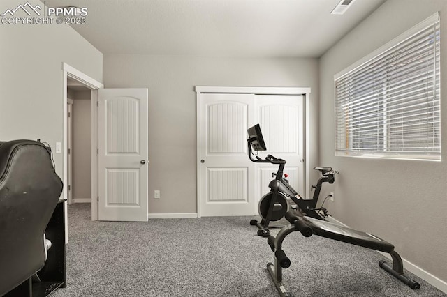 10192 Kentwood Dr, Colorado Springs, CO 80924 - workout area with baseboards and carpet