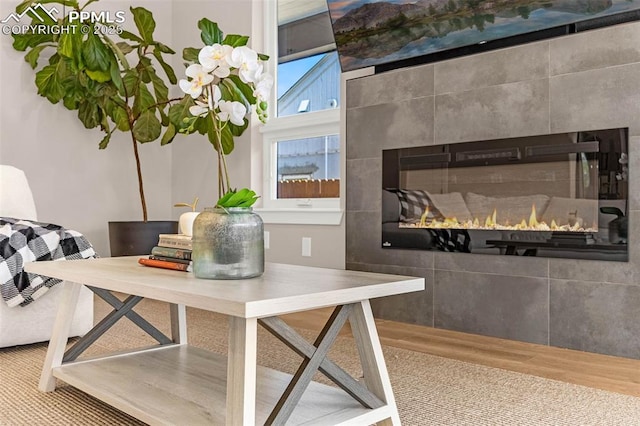 2625 Steele St, Denver, CO 80205 - detailed view of a tile fireplace and wood finished floors