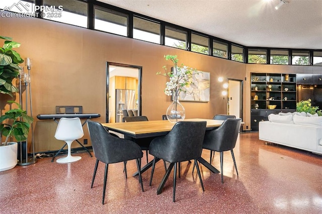 312 Lake Ave, Colorado Springs, CO 80906 - dining room featuring speckle patterned floor, plenty of natural light, and a textured ceiling