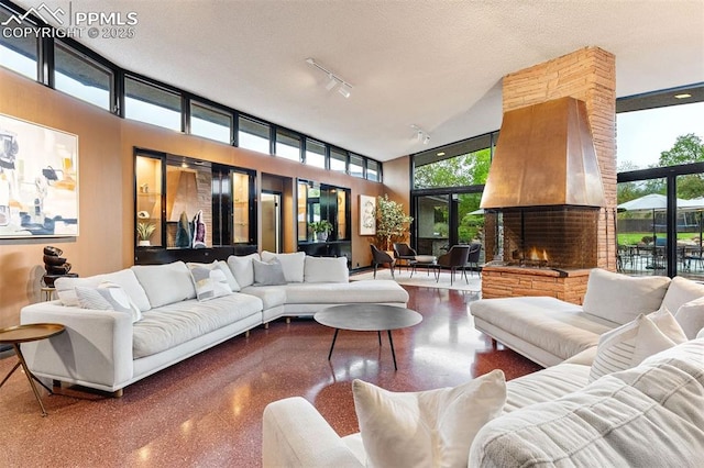 312 Lake Ave, Colorado Springs, CO 80906 - living area featuring a large fireplace and healthy amount of natural light