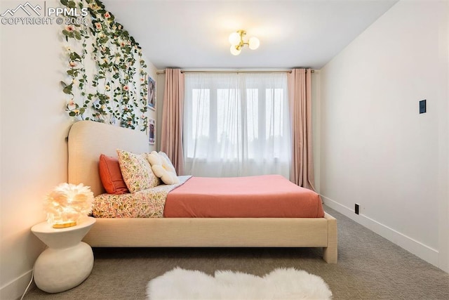 312 Lake Ave, Colorado Springs, CO 80906 - carpeted bedroom with baseboards