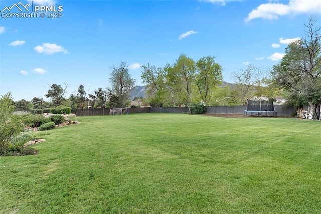 312 Lake Ave, Colorado Springs, CO 80906 - view of yard featuring a trampoline