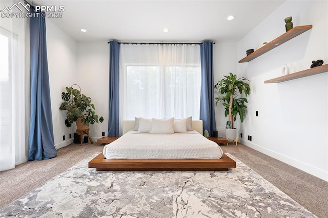 312 Lake Ave, Colorado Springs, CO 80906 - bedroom featuring carpet floors, recessed lighting, and baseboards