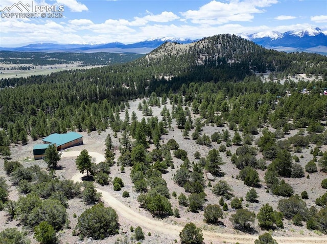 610 Matterhorn Cir, Westcliffe, CO 81252 - view of mountain background with a forest