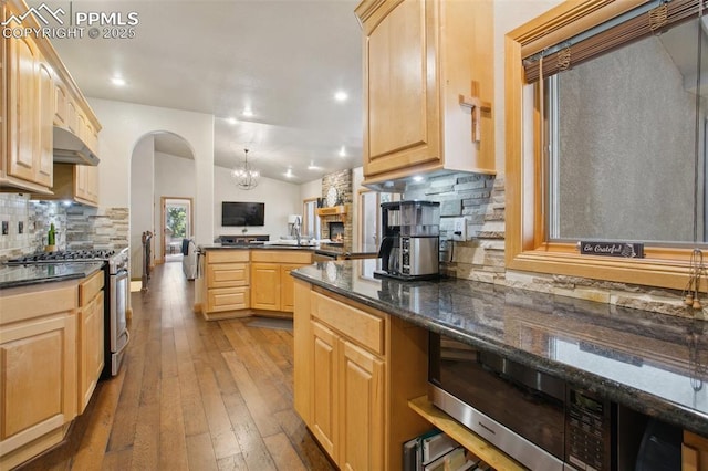 20190 Deer Shadow Way, Monument, CO 80132 - kitchen with appliances with stainless steel finishes, light brown cabinetry, under cabinet range hood, tasteful backsplash, and hardwood / wood-style floors