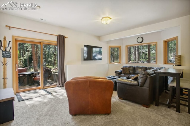 20190 Deer Shadow Way, Monument, CO 80132 - living area with carpet floors