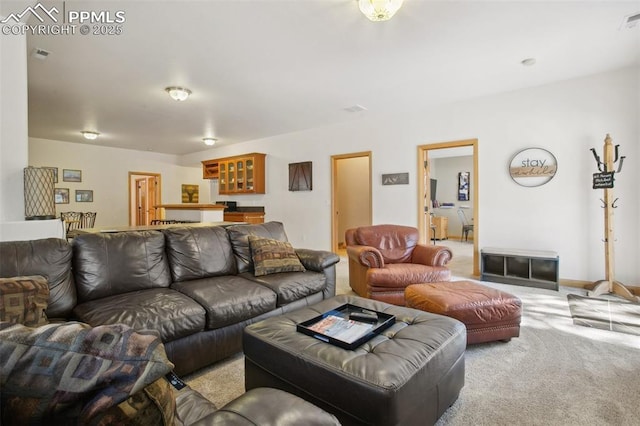 20190 Deer Shadow Way, Monument, CO 80132 - living room with light colored carpet