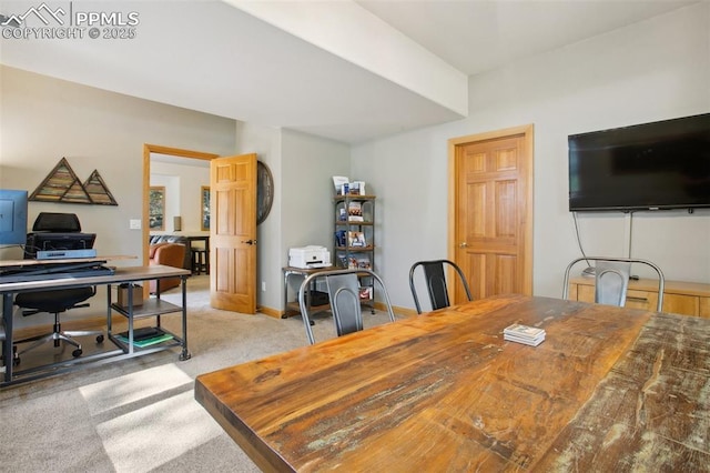20190 Deer Shadow Way, Monument, CO 80132 - office space featuring carpet and baseboards