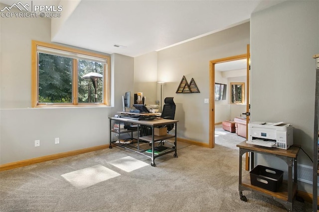 20190 Deer Shadow Way, Monument, CO 80132 - carpeted home office featuring healthy amount of natural light and baseboards