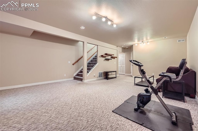 2252 Conservatory Pt, Colorado Springs, CO 80918 - exercise area with rail lighting, baseboards, and carpet flooring
