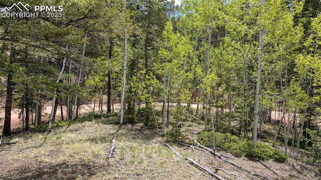 1058 Bennett Dr, Cripple Creek, CO 80813