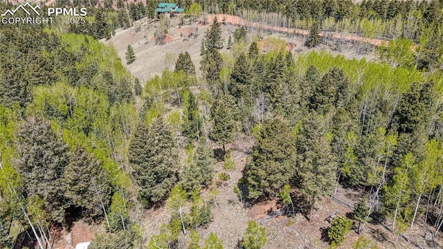1058 Bennett Dr, Cripple Creek, CO 80813