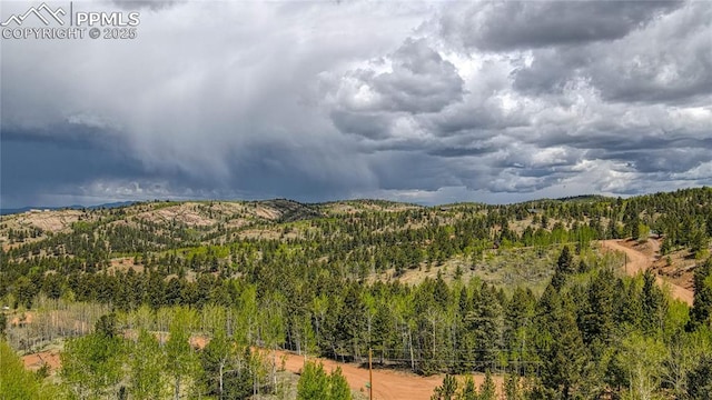 1058 Bennett Dr, Cripple Creek, CO 80813