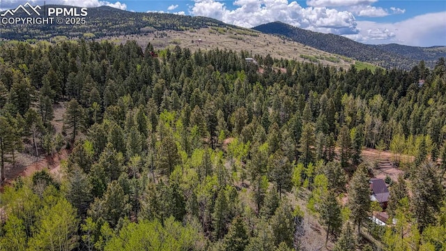 1058 Bennett Dr, Cripple Creek, CO 80813