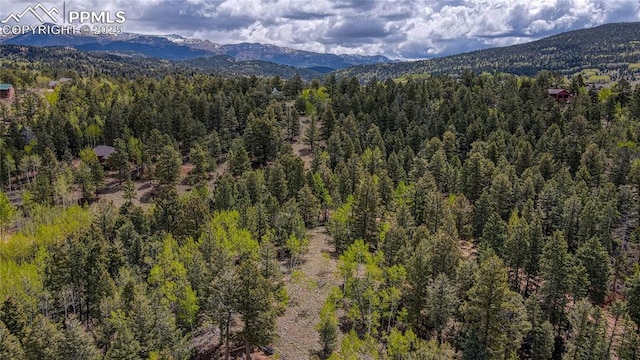 1058 Bennett Dr, Cripple Creek, CO 80813