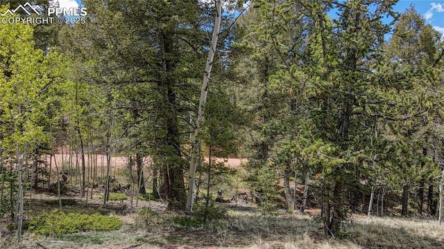 1058 Bennett Dr, Cripple Creek, CO 80813