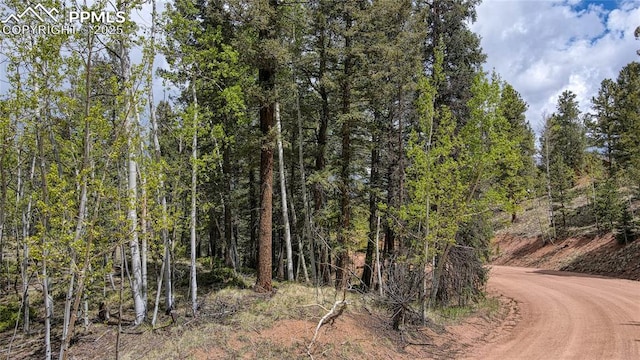 1058 Bennett Dr, Cripple Creek, CO 80813