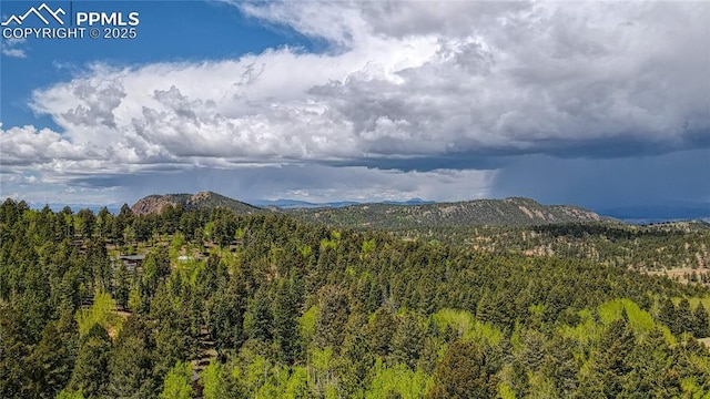 1058 Bennett Dr, Cripple Creek, CO 80813