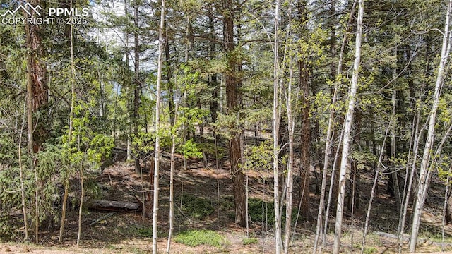 1058 Bennett Dr, Cripple Creek, CO 80813