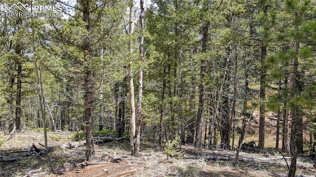 1058 Bennett Dr, Cripple Creek, CO 80813