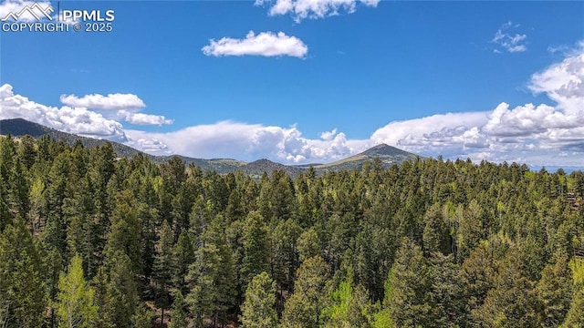 1058 Bennett Dr, Cripple Creek, CO 80813