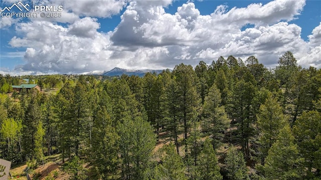 1058 Bennett Dr, Cripple Creek, CO 80813