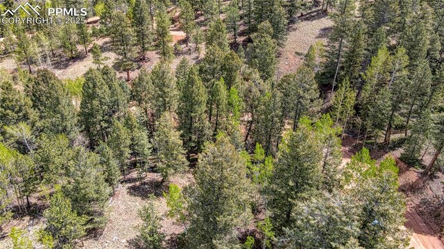 1058 Bennett Dr, Cripple Creek, CO 80813