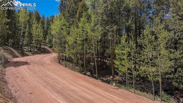 1058 Bennett Dr, Cripple Creek, CO 80813