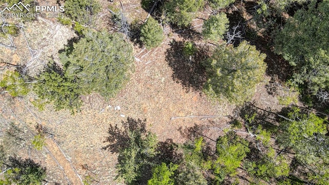 1058 Bennett Dr, Cripple Creek, CO 80813