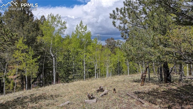 1058 Bennett Dr, Cripple Creek, CO 80813