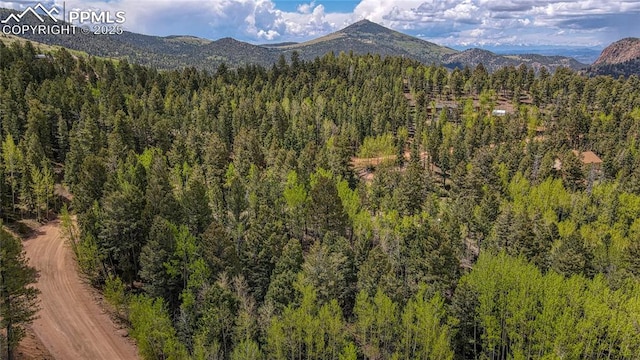 1058 Bennett Dr, Cripple Creek, CO 80813