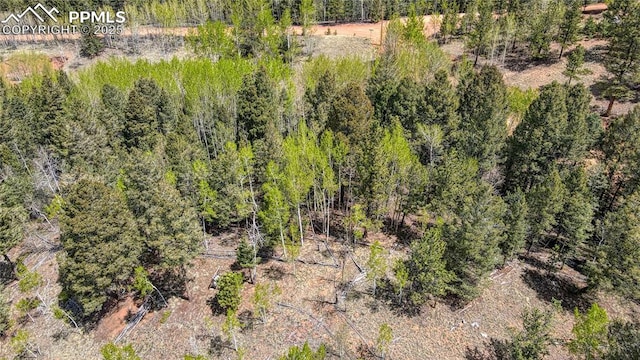 1058 Bennett Dr, Cripple Creek, CO 80813
