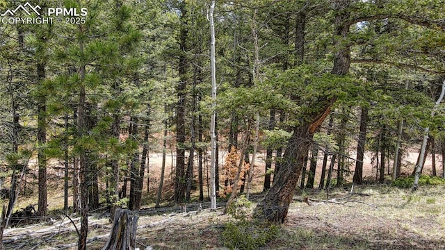 1058 Bennett Dr, Cripple Creek, CO 80813