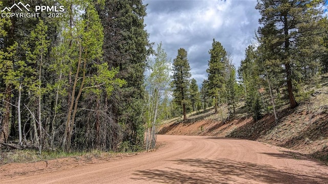 1058 Bennett Dr, Cripple Creek, CO 80813