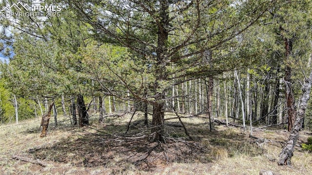 1058 Bennett Dr, Cripple Creek, CO 80813