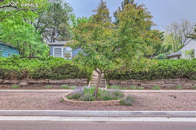 1609 Palmer Park Blvd, Colorado Springs, CO 80909 - view of front facade