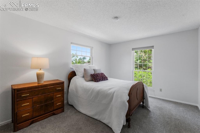 490 Wintery Cir, Colorado Springs, CO 80919 - bedroom with multiple windows, carpet flooring, baseboards, and a textured ceiling
