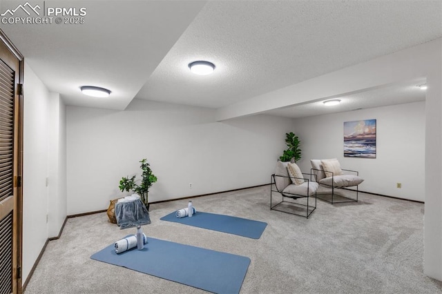 490 Wintery Cir, Colorado Springs, CO 80919 - exercise room featuring carpet floors, baseboards, and a textured ceiling