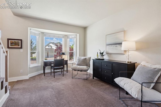 9969 Bridgeport Dr, Colorado Springs, CO 80920 - living area featuring carpet flooring and baseboards