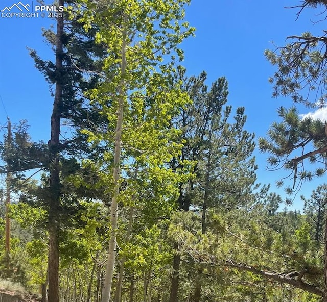 62 Hadatsa Ln, Woodland Park, CO 80863