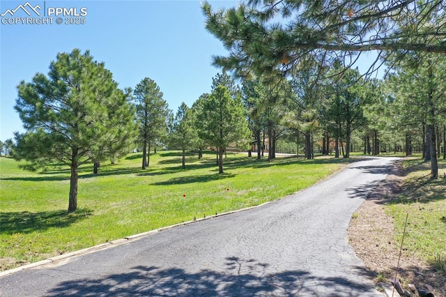 390 E Stirrup Trl, Monument, CO 80132 - view of property's community featuring a lawn