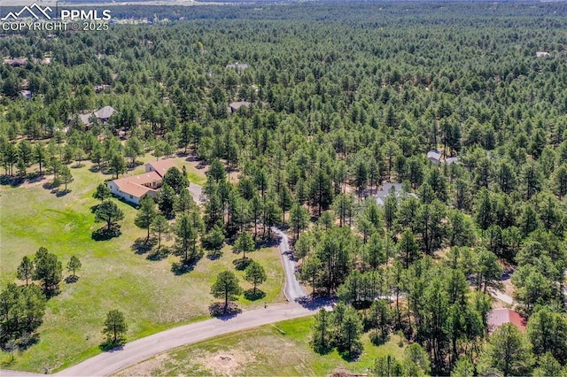 390 E Stirrup Trl, Monument, CO 80132 - drone / aerial view of a forest
