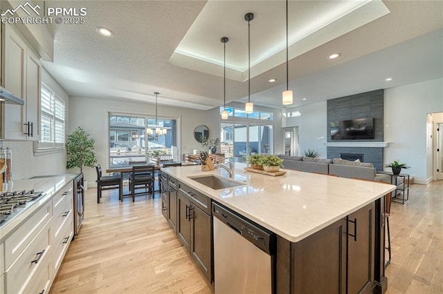9473 Bugaboo Dr, Colorado Springs, CO 80924 - kitchen with appliances with stainless steel finishes, a sink, dark brown cabinets, light wood finished floors, and a fireplace