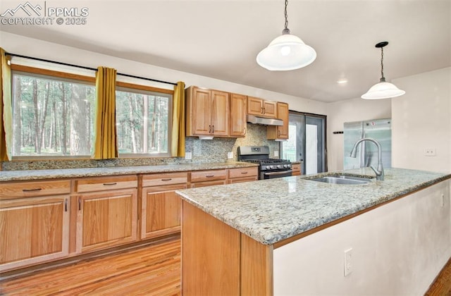 17990 Canterbury Dr, Monument, CO 80132 - kitchen featuring stainless steel appliances, under cabinet range hood, light wood-style flooring, and pendant lighting
