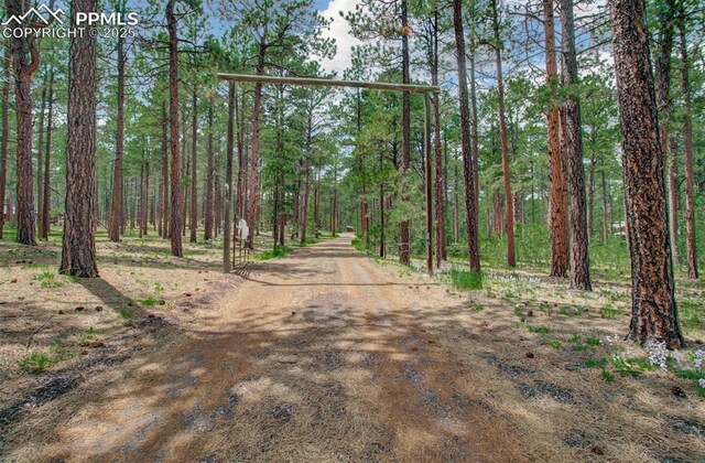 17990 Canterbury Dr, Monument, CO 80132 - view of dirt / gravel road featuring a forest view