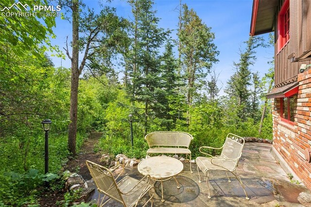 3875 Overlook Rd, Colorado Springs, CO 80906 - view of patio / terrace